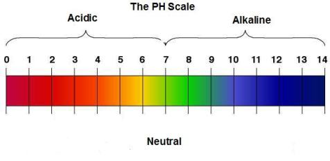 pH Level
